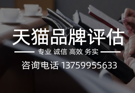 關于天貓品牌評估,相關文章詳細信息
